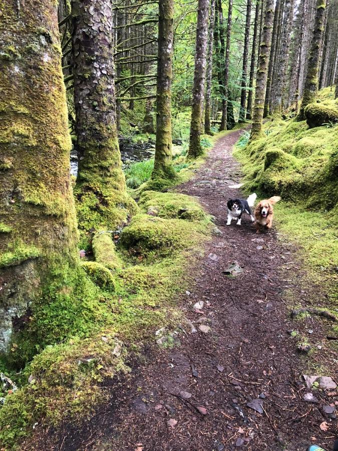 Foresters Lodge Bed And Breakfast, Near Loch Ness Inverfarigaig Экстерьер фото